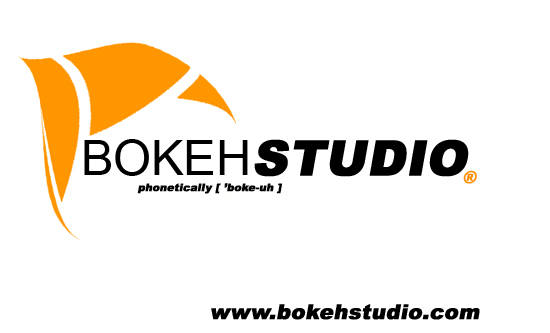 BOKEH STUDIO